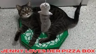Jenny loves her pizza box - 4K