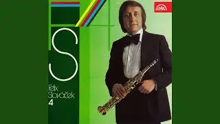 Už se nevrátíš