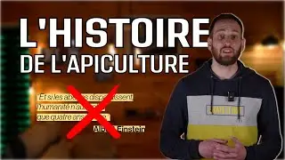 L'Histoire de l'Apiculture
