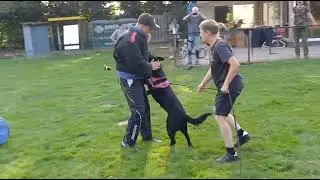 Training Kringgroep Maasland Bionda