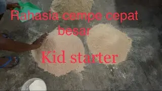 Pakan khusus anak kambing atau kid starter