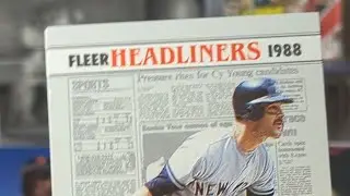 Old Card Shop Inventory: The 1988 Fleer Headliners Set