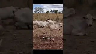 #funnyrides😂😂😂
