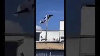 Then he threw down the flag of Israel. #crow #israel