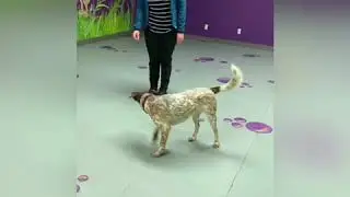 Playtime - Mar 1/20