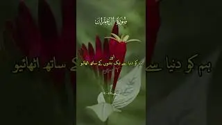 #alhamdulillah❤️ #learnwithtiktok #kabba #fypage #shortstory #madinahalmunawaroh #dil #wish #mola #d