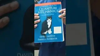 Quantum Mechanics vs Cat 🐈