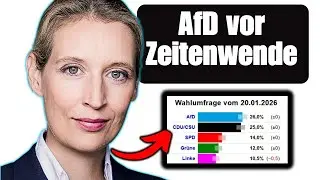 AfD steht auf Platz 1: Neue INSA-Umfrag