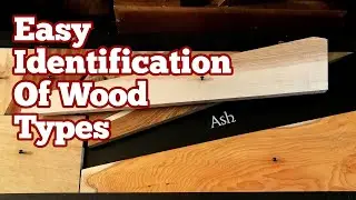 Easy Identification Of Wood Types