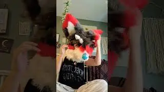 hair floooffssss #fursuit #furry #furries #fursona