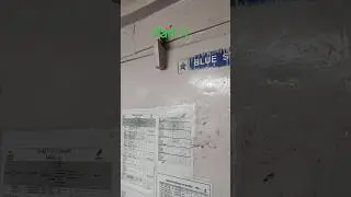 How To Change Cold Room Door Closer, #youtubeshorts #viralvideo #coldstorage #shorts #trending