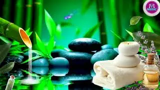 🌿 Spa Relaxation Music 😌 Deep Calm & Stress Relief 🧘&zwj;♀️ stress relief music #RYR Music