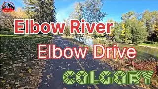 🚶&zwj;♂️ Exploring Elbow Drive & Elbow River | Beautiful Calgary Walk 🌳