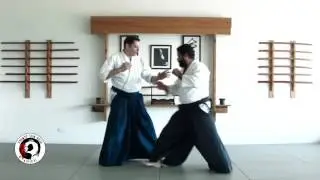 Chudan Tsuki Iriminage Ura