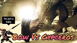 Back On Wilds - Bow Vs New Monster Gypceros
