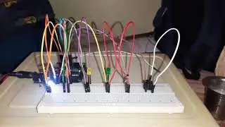 LED and buzzer blinking video