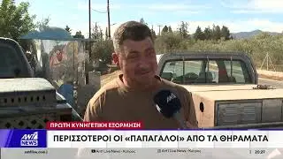 &Pi;&rho;ώ&tau;&eta; &kappa;&upsilon;&nu;&eta;&gamma;&epsilon;&tau;&iota;&kappa;ή &epsilon;&xi;ό&rho;&mu;&eta;&sigma;&eta;: &Pi;&epsilon;&rho;&iota;&sigma;&sigma;ό&tau;&epsilon;&rho;&omicron;&iota; &omicron;&iota; &laquo;&pi;&alpha;&pi;&alpha;&gamma;ά&lambda;&omicron;&iota;&raquo; &alpha;&pi;ό &tau;&alpha; &theta;&eta;&rho;ά&mu;&alpha;&tau;&alpha;