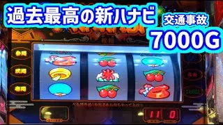 カピバラくん　交通事故からただいまｗ過去最高の新ハナビ7000Ｇ（撮り溜め分）＃