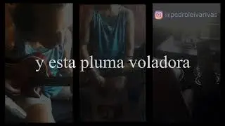 Quimera - Jorge Drexler (cover, karaoke, instrumental)