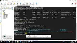 7  Docker copy - cp