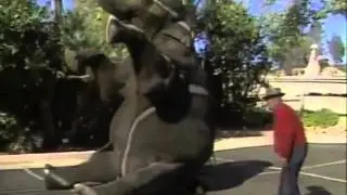 elephant Reunited with trainer after 15 years