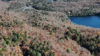 Terrain 32 acres &agrave; vendre | Wentworth-Nord, Laurentides