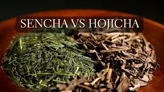 Difference between Sencha vs Hojicha