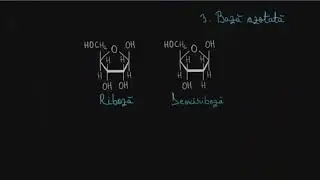 Acizi nucleici - mononucleotide, polinucleotide | Lectii-Virtuale.ro
