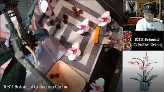Lego Building Video - 10311 Botanical Collection Orchid