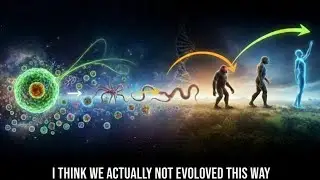 Human Evolution & The Universe: How We Are the Universe Observing Itself