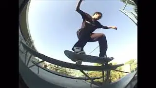Mike Mag's 
