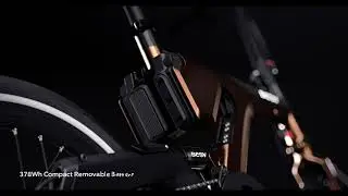 BESV PSF1 Performance Folding e Bike