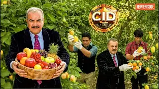 Cid टीम ने बगीचे से तोड़े ताजे ताजे फल || CID || Latest Episode ||