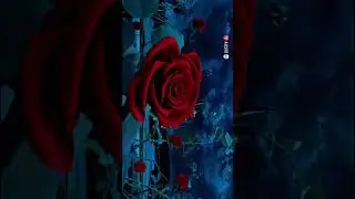 Beauty and the Beast edit .#emmawatson#legendbeauty#thebeast