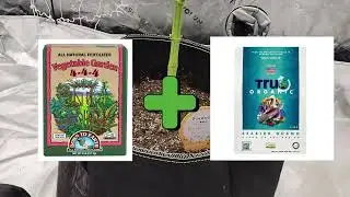Season 2 E03 - Week 6 Veg Prep for Flip - Blueberry Pancakes