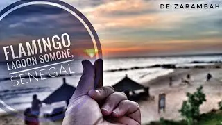 Naik perahu ke flamingo lagoon di Somone, 3 jam dari Dakar Senegal