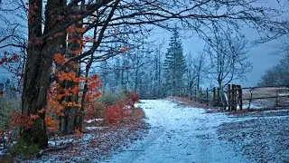 Fall Asleep Within Minutes, Soothing Melodies, Soothing Ambiance, Relaxing Music. Sleep Music