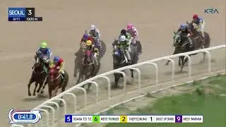 (Seoul) 2023.06.11 R3 Class 6 (1200M) Special Weight A - Trainer Choi Sang-sik's 100th career winner