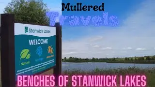 Stanwick Lakes walk