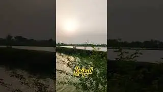 #koipul #nature #trendingsong 💚💚💚
