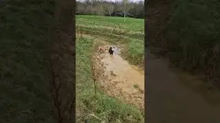 Another day another muddy paddock