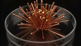 Crystal Formation ASMR　#asmr #satisfying #notalkingasmr #relaxing