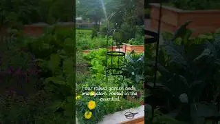Four Raised Beds. One Intentional Garden