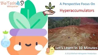 Learn all about Hyperaccumulators and Phyto-mining in 10 Minutes