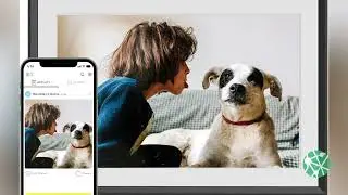 Aura Digital Picture Frame
