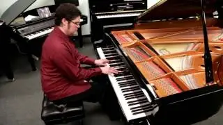 Patrick Riddle - In a Sentimental Mood