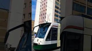 Augsburg Tram 🇩🇪 &bull; NF8 864 &bull; B&auml;renwirt/DRvS &bull; 04.09.2024