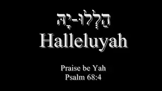 The Torah Watchman Show Int. LLC  (TOI-039): The Many Names of GOD?