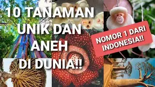 😱 NO 1 DARI INDONESIA!! 🇲🇨 10 TANAMAN UNIK DAN ANEH DI DUNIA #education #plants #indonesia #world