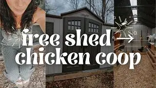 free shed &rarr; chicken coop | building our family compound from scratch